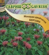 Монарда двойчатая Бергама "Гавриш"