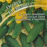 Огурец F1 Лилипут "Гавриш"