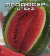 Арбуз Продюсер "Сибирский сад"