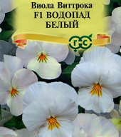 Виола Виттрока F1 Водопад белый "Гавриш"