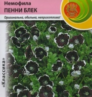 Немофила Пенни блек  "Русский Огород"