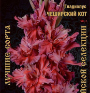 Гладиолус Чеширский Кот 