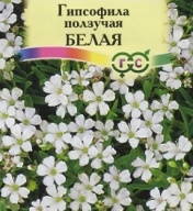 Гипсофила ползучая Белая "Гавриш"