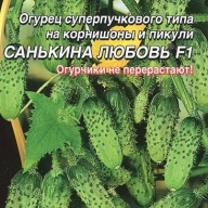 Огурец суперпучкового типа Санькина любовь F1"Уральский дачник"