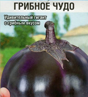Баклажан Грибное чудо  "Сибирский сад"