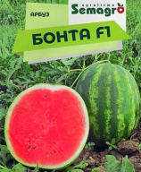 Арбуз Бонита F1 "Semagro"