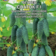 Огурец Сваток F1 "Premium seeds"