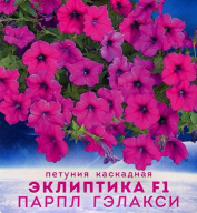 Петуния каскадная Эклиптика F1 Парпл Гэлакси  "Биотехника"