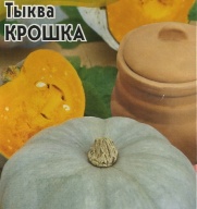 Тыква Крошка "Гавриш"
