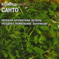 Кориандр Санто  "Гавриш"