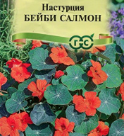 Настурция Бейби Саломон "Гавриш"