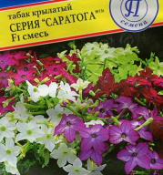Табак крылатый серия "Саратога"  F1 смесь  "Престиж семена"
