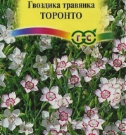 Гвоздика травянка Торонто "Гавриш"