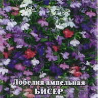 Лобелия апмельная Бисер "Гавриш"