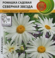 Ромашка садовая Северная звезда "Русский Огород"
