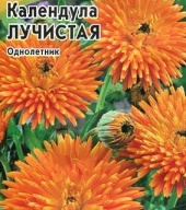 Календула Лучистая "Гавриш"