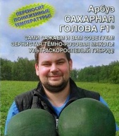 Арбуз Сахарная голова F1 "Уральский дачник"