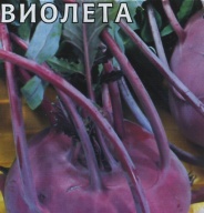 Капуста кольраби Виолета "Гавриш"