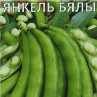 Бобы Янкель Бялы "Гавриш"