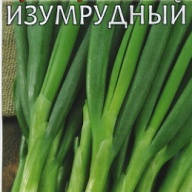Лук батун Изумрудный "Гавриш"