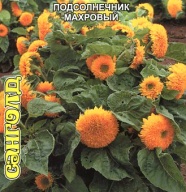 Подсолнечник махровый Санголд "Биотехника"