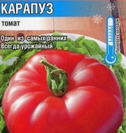 Томат Карапуз "Сибирский Сад"