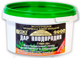 Дар Плодородия  "Башинком"