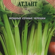 Сельдерей черешковый Атлант "Гавриш"