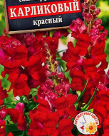 Львиный зев Карликовый красный  "Аэлита"