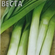 Лук порей Веста "Гавриш"