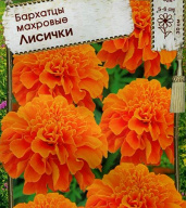 Бархатцы махровые Лисички "Premium seeds"
