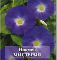 Ипомея Мистерия "Гавриш"