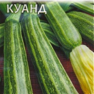 Кабачок Куанд "Гавриш"