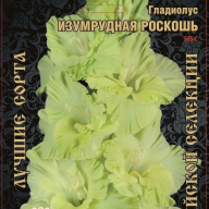 Гладиолус Изумрудная Роскошь