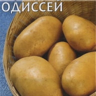 Картофель Одиссей "Гавриш"