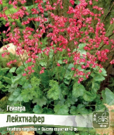 Гейхера Лейхткафер