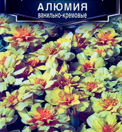 Бархатцы Алюмия ванильно - кремовые  "Аэлита"
