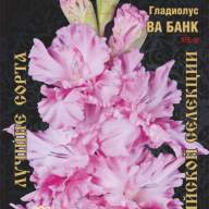Гладиолус Ва Банк