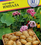 Картофель Импала "Престиж семена"