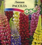 Люпин Рассела "Гавриш"