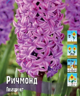 Гиацинт Ричмонд