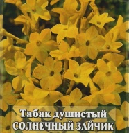 Табак душистый Солнечный зайчик "Гавриш"