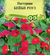 Настурция Бейби Роуз  "Гавриш"