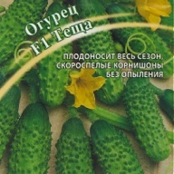 Огурец F1 Теща "Гавриш"