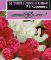 Бегония вечноцветущая F1 Королева "Гавриш"