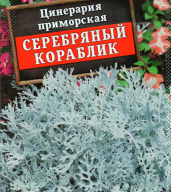 Цинерария приморская Серебряный кораблик  "Аэлита"