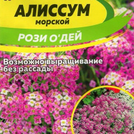 Алиссум морской Рози О Дей  "семена Алтая"