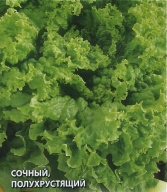 Салат Азарт "Гавриш"