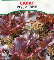 Салат Ред Ирвин "Premium seeds"
