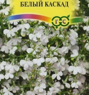 Лобелия апмельная Белый каскад "Гавриш"